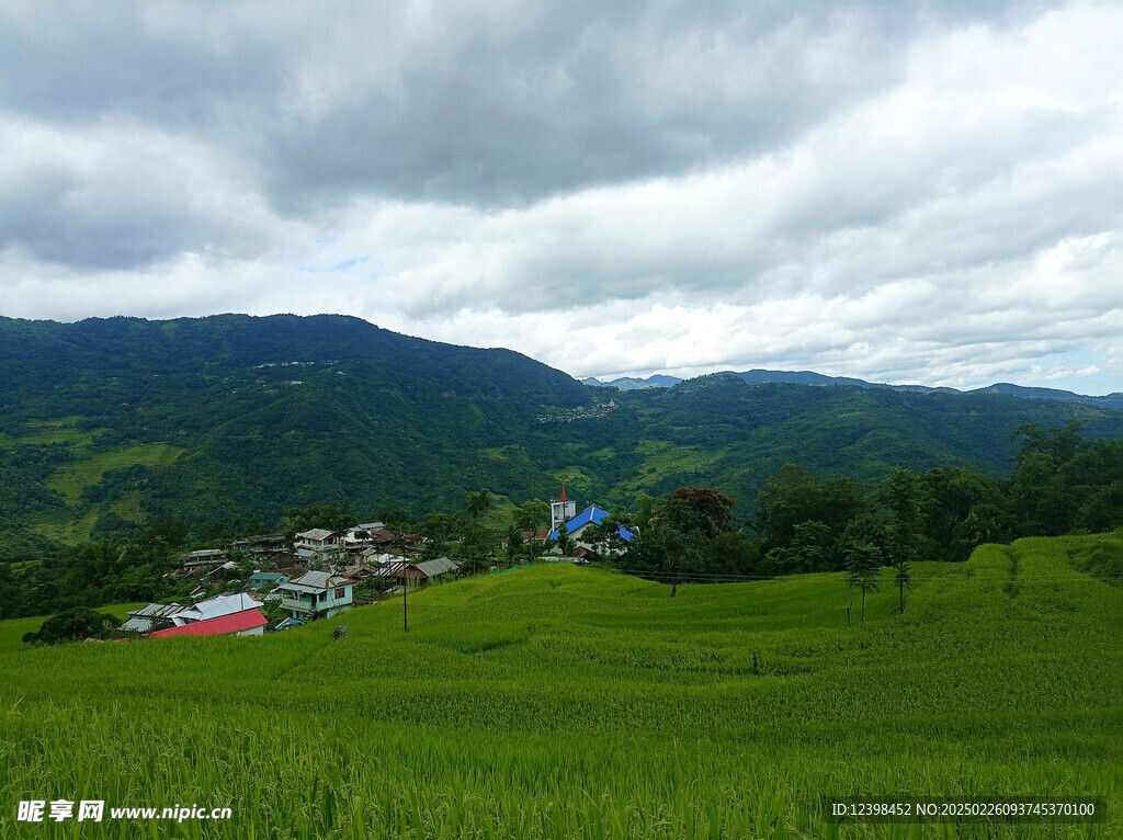 草原牧场