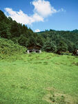 草原