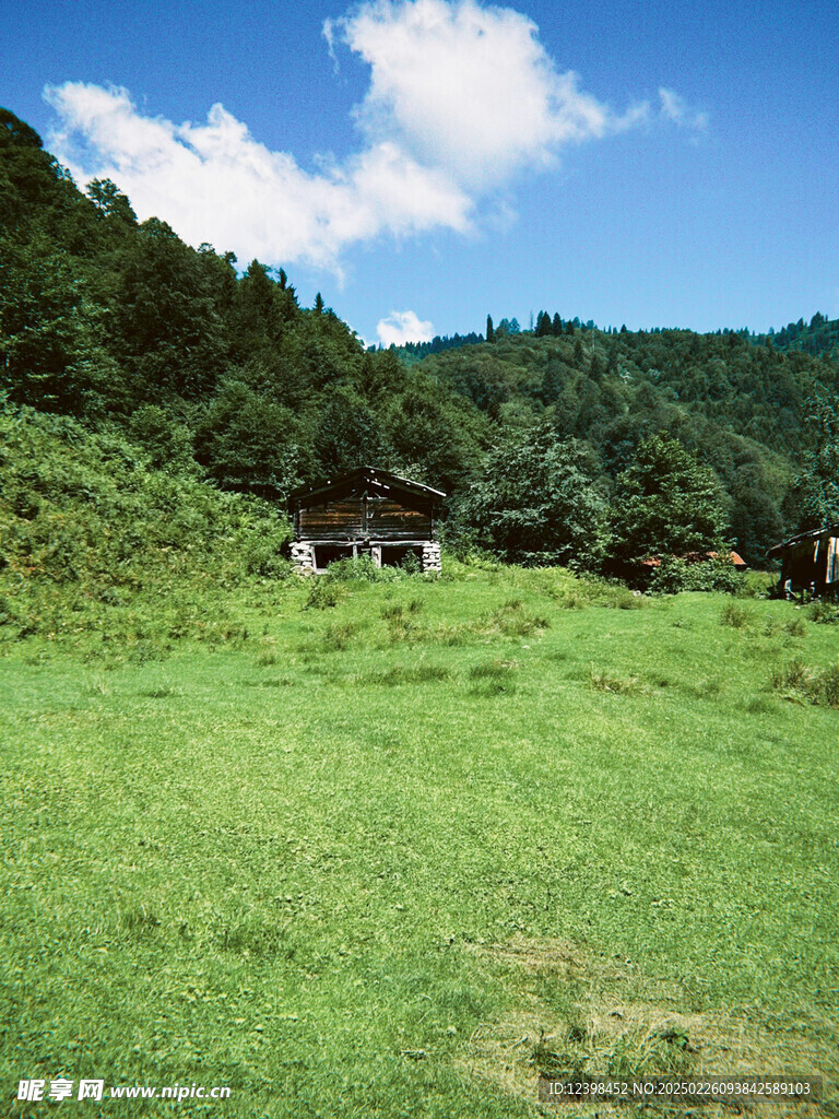 草原