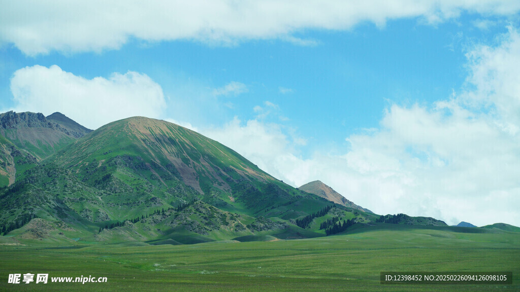 草原牧场
