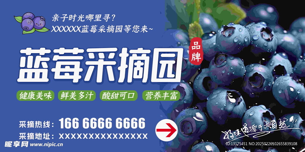 蓝莓采摘海报设计