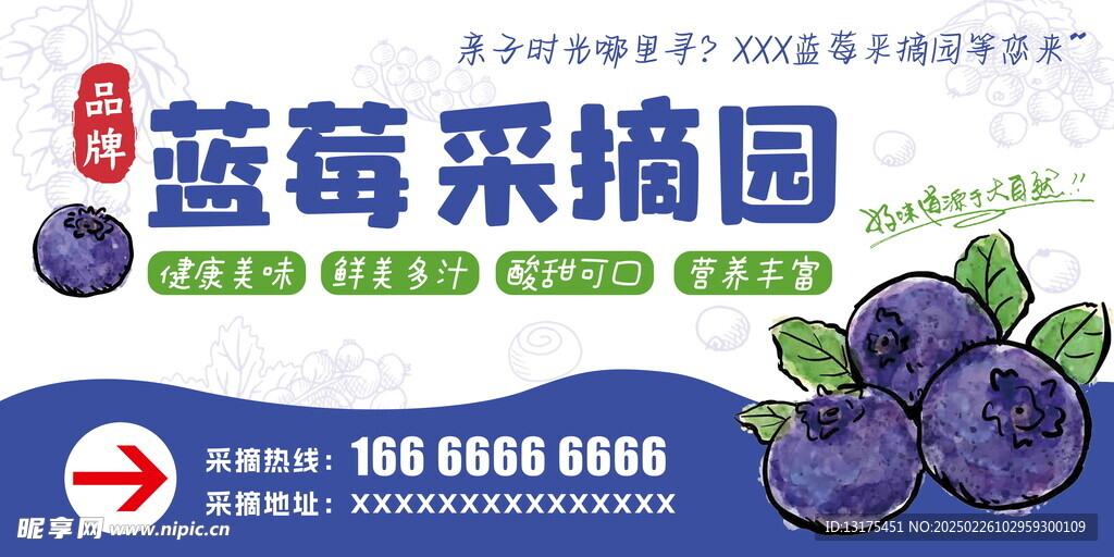 蓝莓海报设计