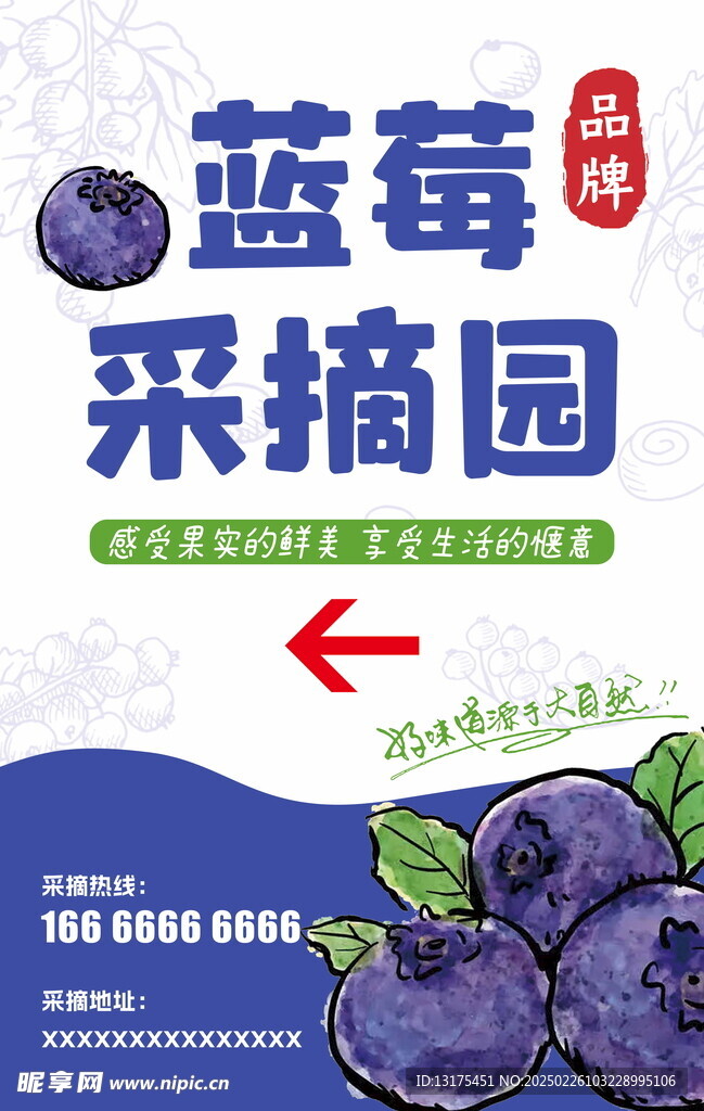 蓝莓采摘设计