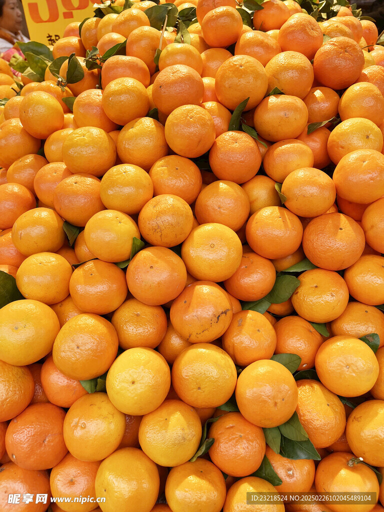 沃柑