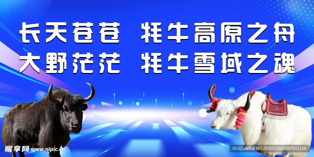 牦牛相关背景