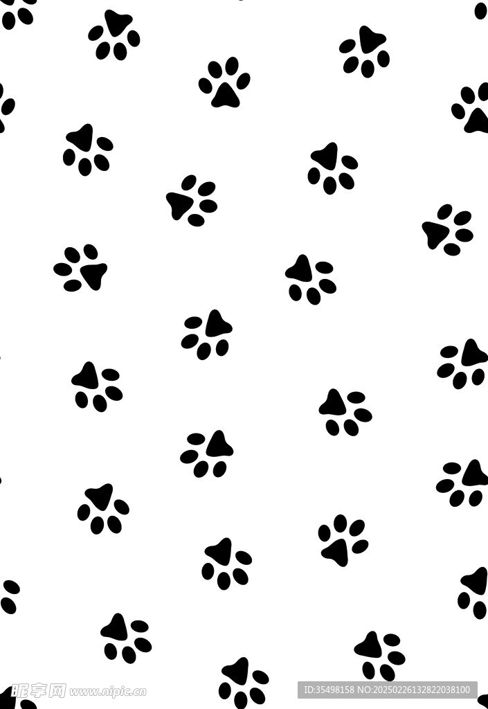 猫爪