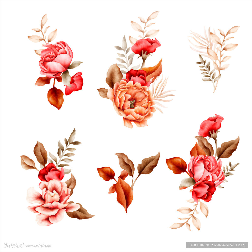 手绘水彩牡丹芍药插画