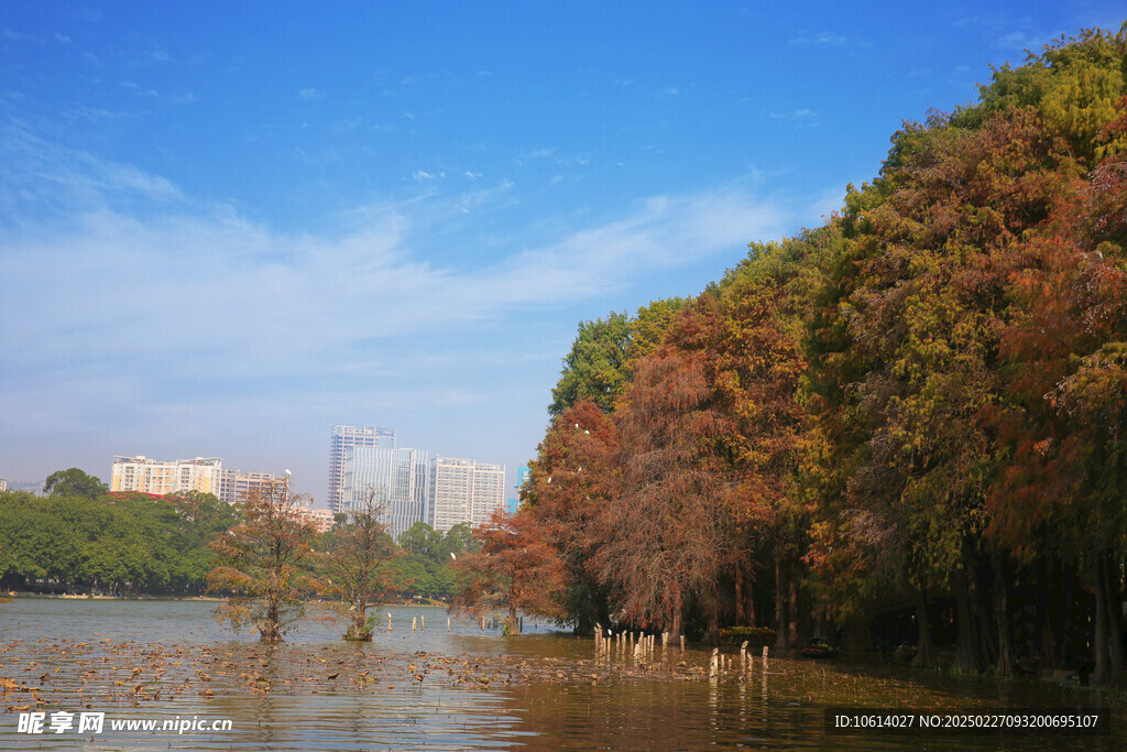 深圳 东湖公园  