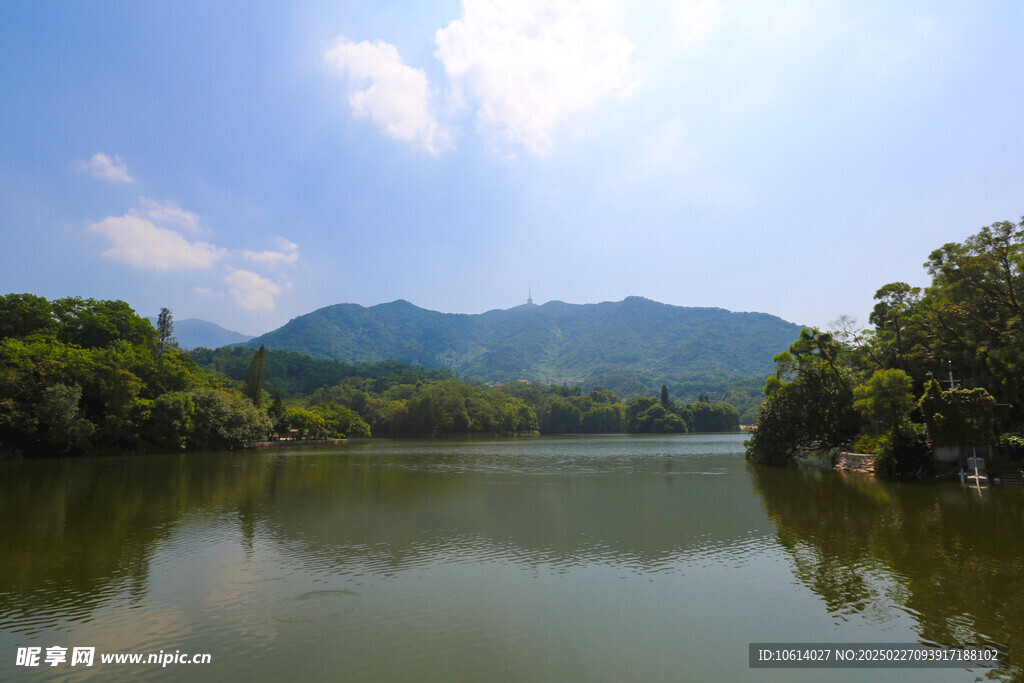 仙湖 植物园