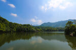 仙湖 植物园