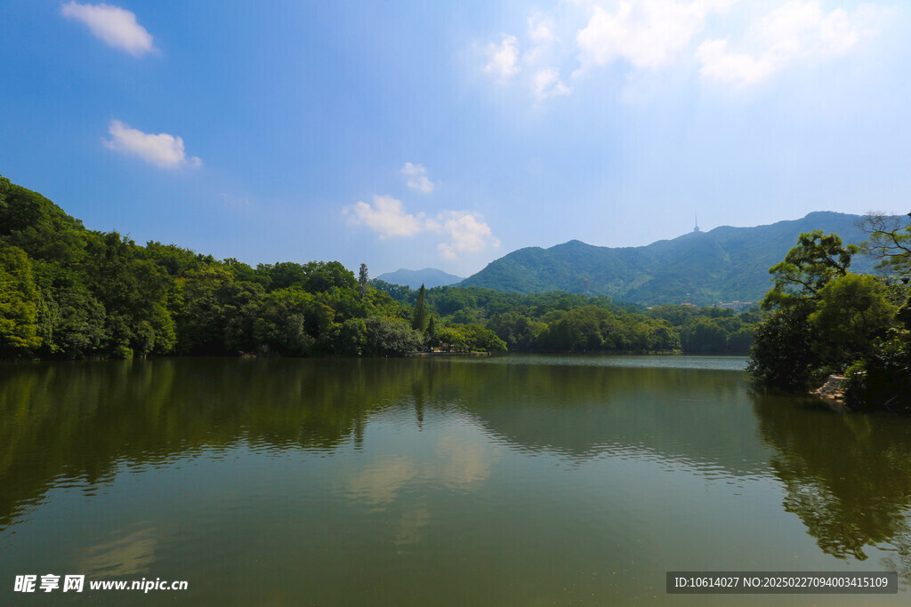 仙湖 植物园