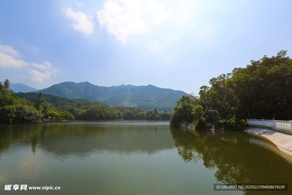 仙湖 植物园