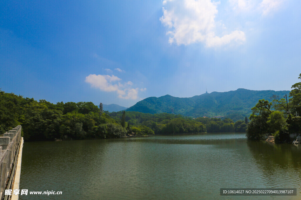 仙湖 植物园