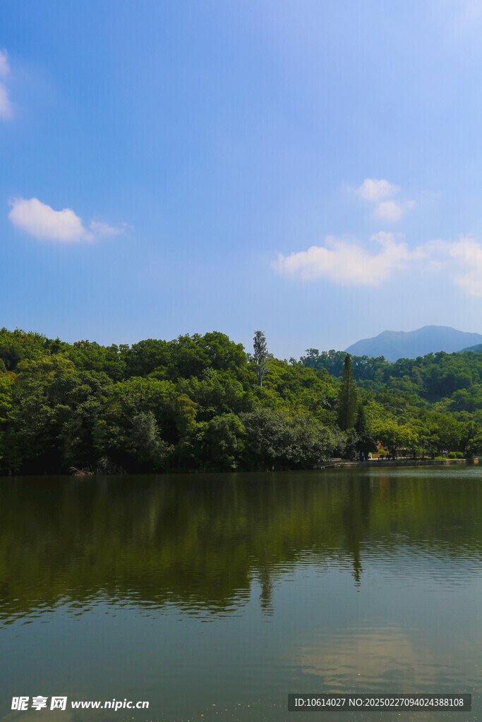 仙湖 植物园