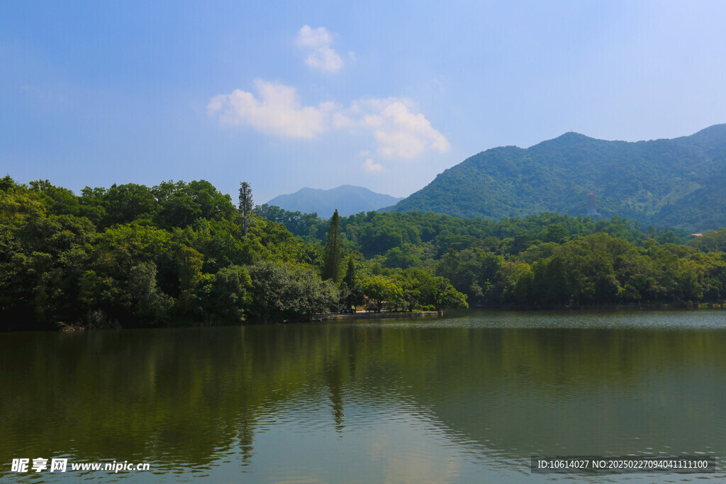 仙湖 植物园