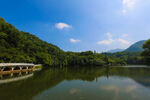 仙湖 植物园