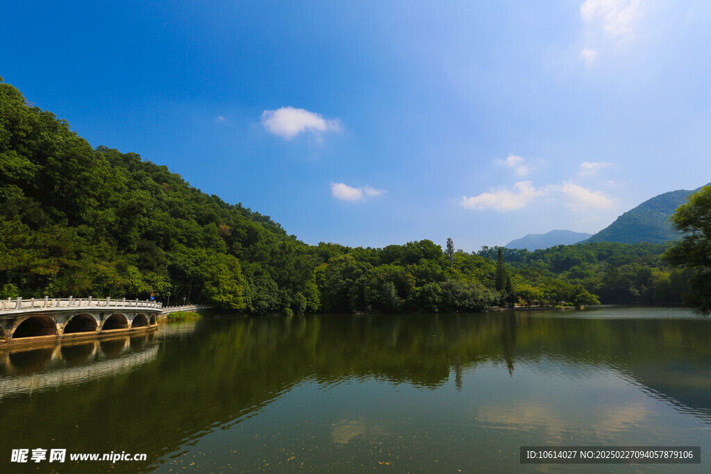仙湖 植物园