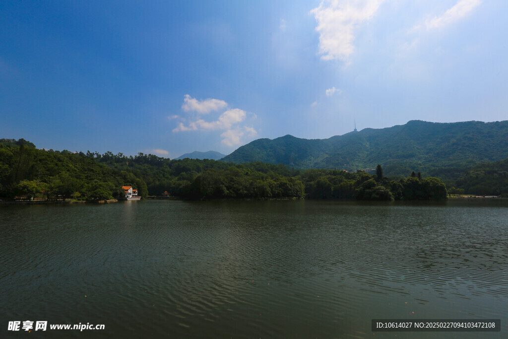 仙湖 植物园