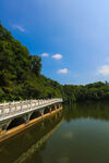 仙湖 植物园