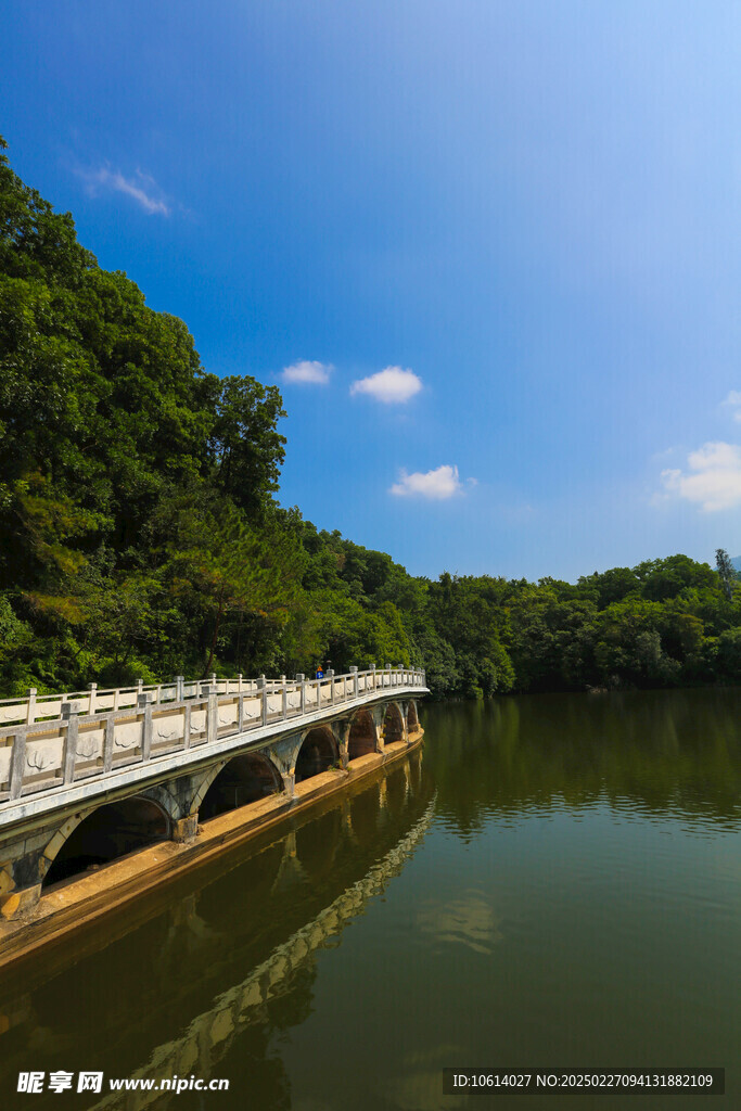 仙湖 植物园