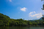 仙湖 植物园