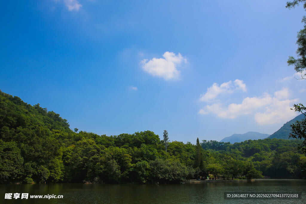 仙湖 植物园