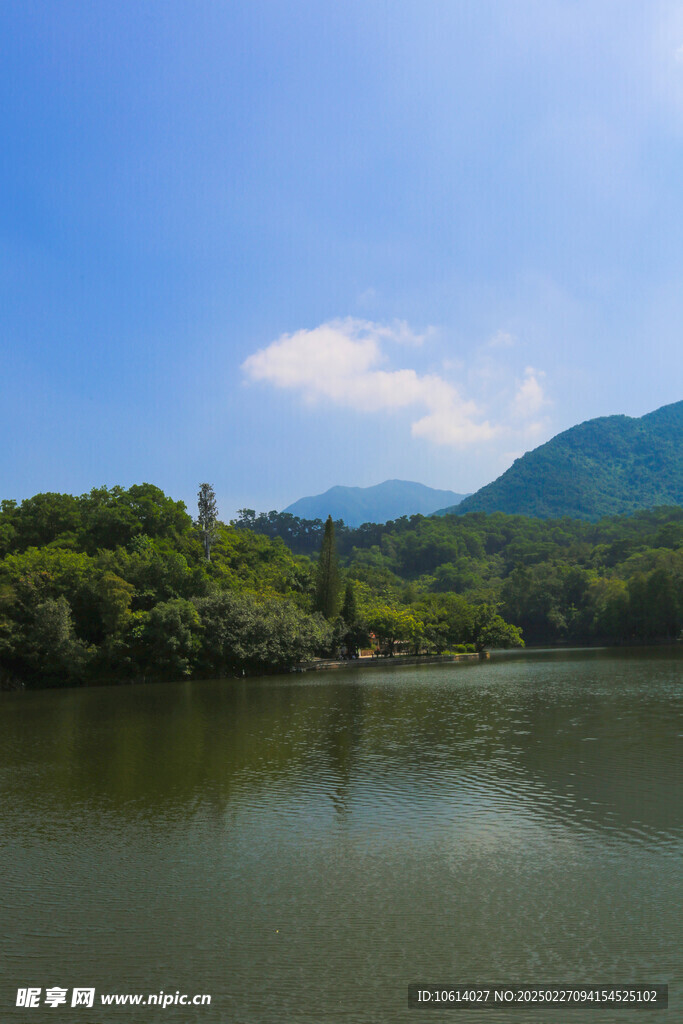 仙湖 植物园