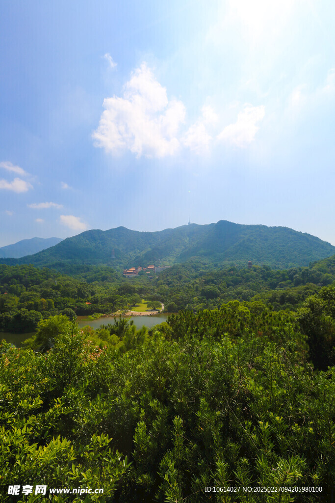 仙湖 植物园