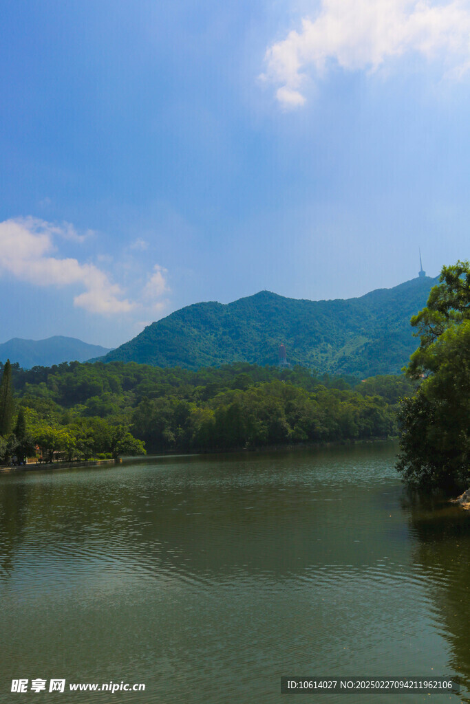 仙湖 植物园