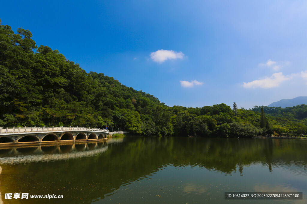 仙湖 植物园