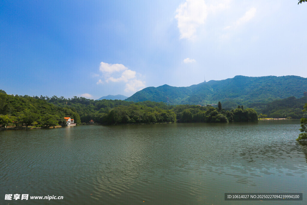 仙湖 植物园