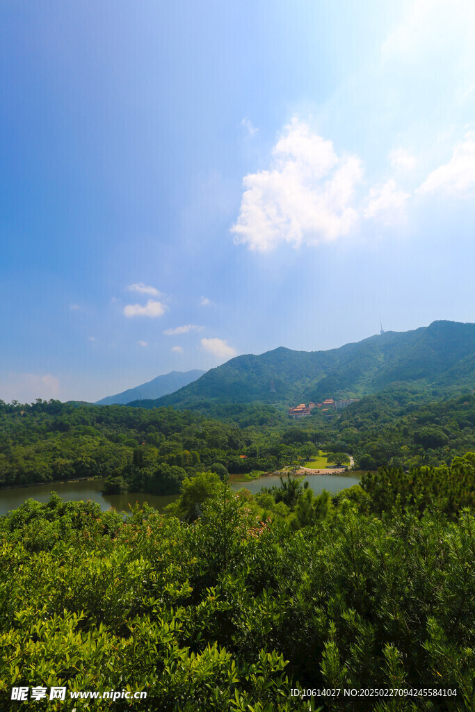 仙湖 植物园