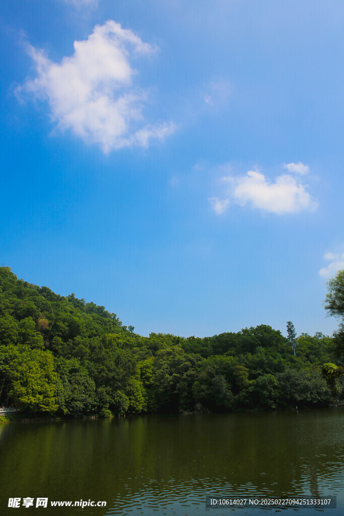 仙湖 植物园