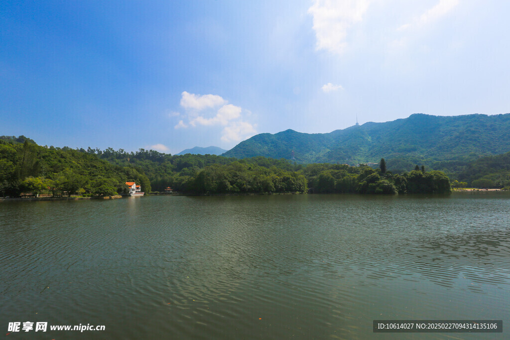 仙湖 植物园