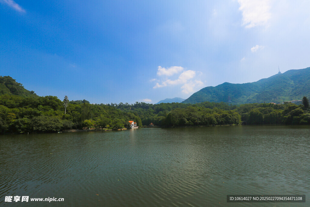 仙湖 植物园