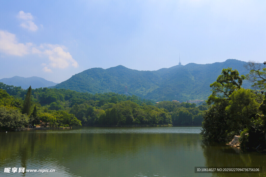 仙湖 植物园