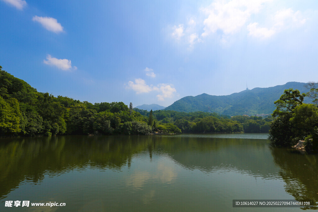 仙湖 植物园