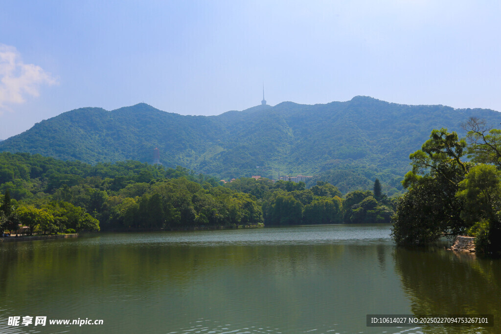 仙湖 植物园