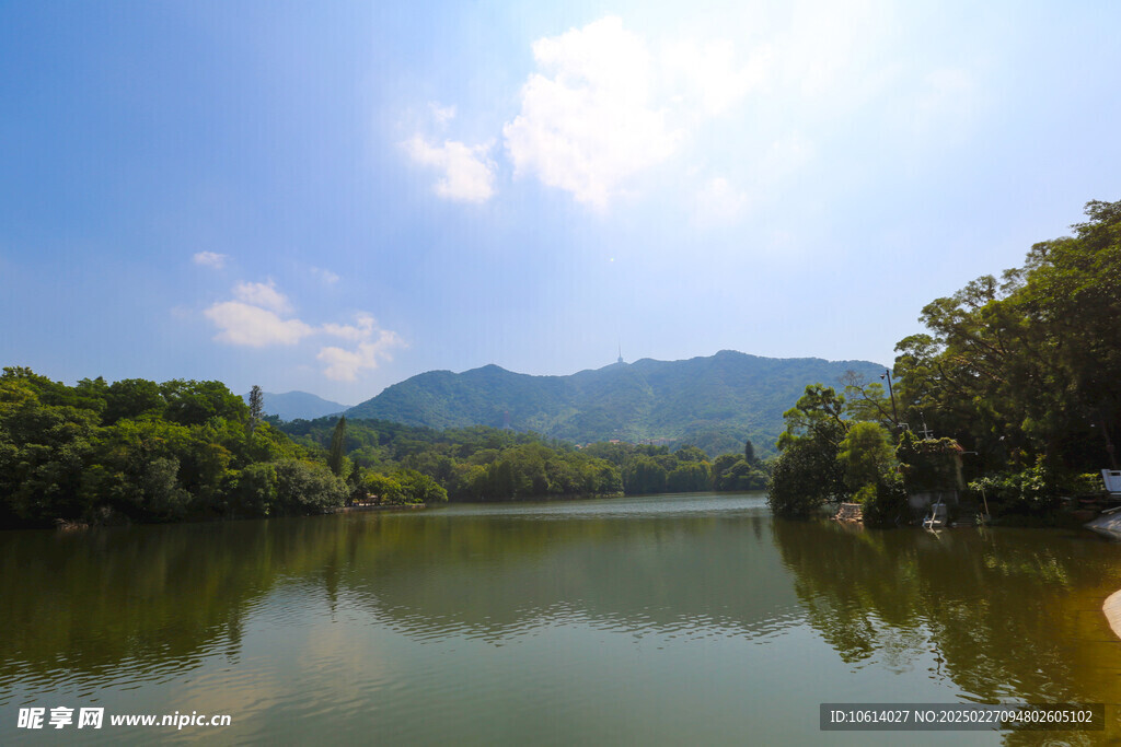 仙湖 植物园