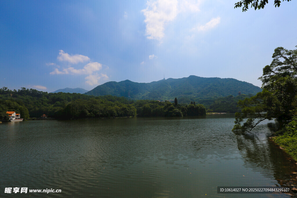 仙湖 植物园