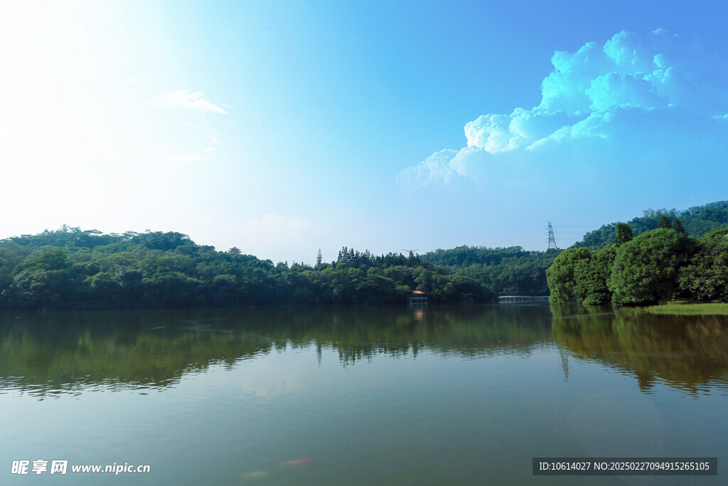 仙湖 植物园