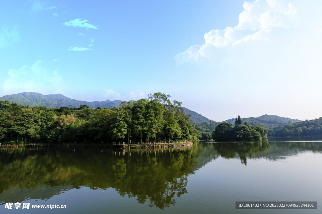仙湖 植物园