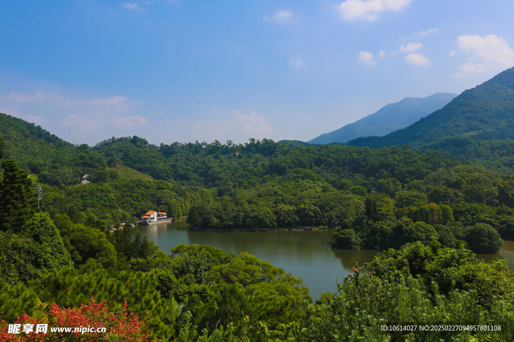 仙湖 植物园