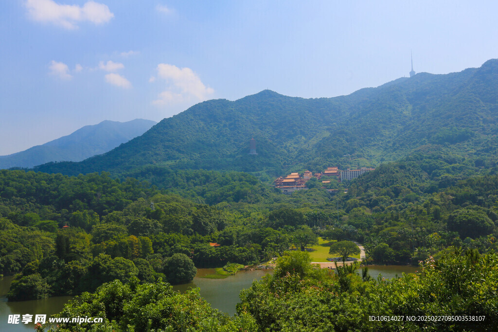 仙湖 植物园