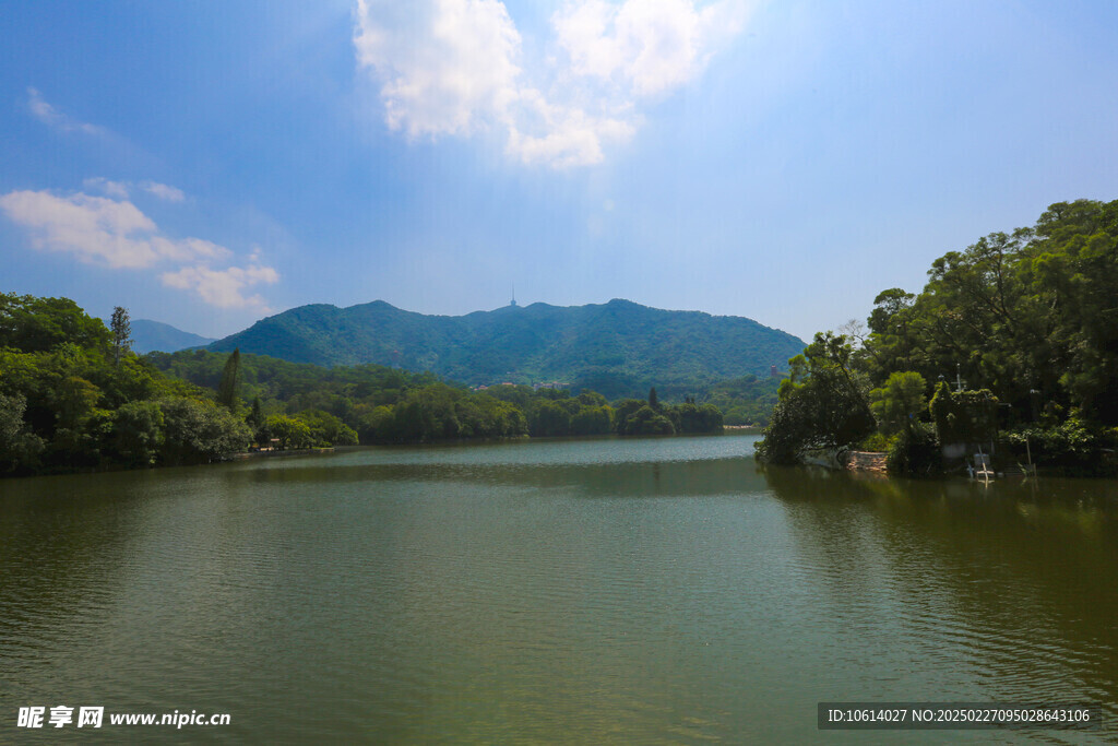 仙湖 植物园