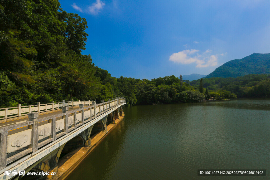 仙湖 植物园