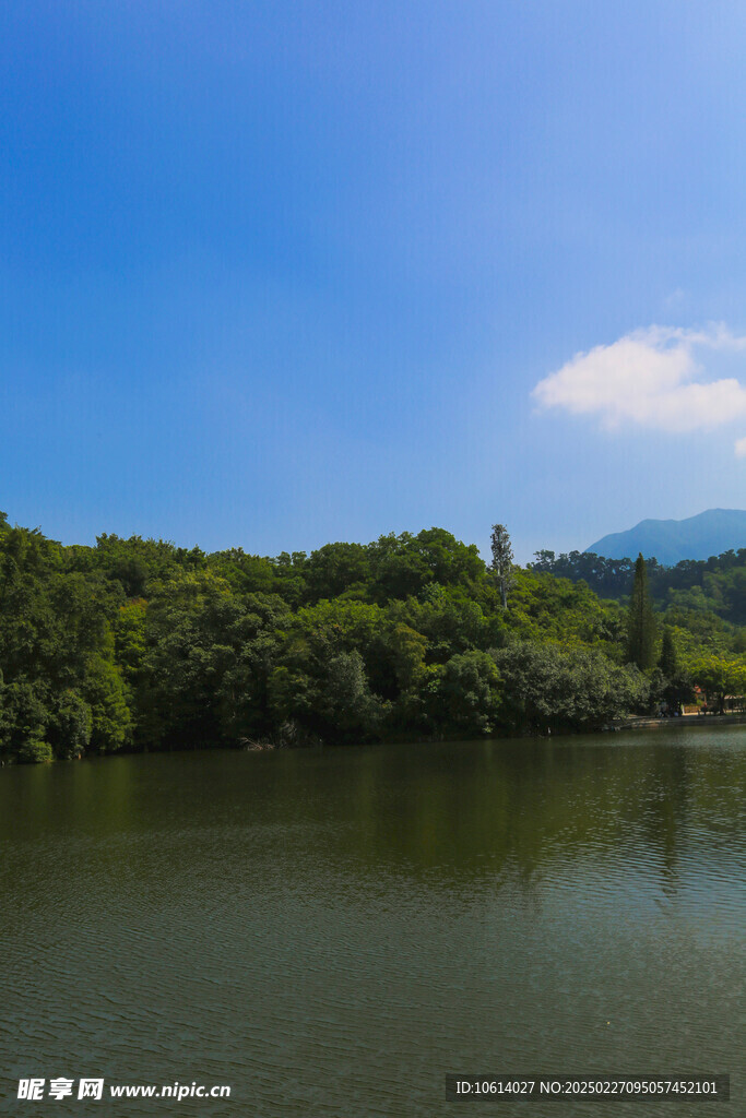 仙湖 植物园