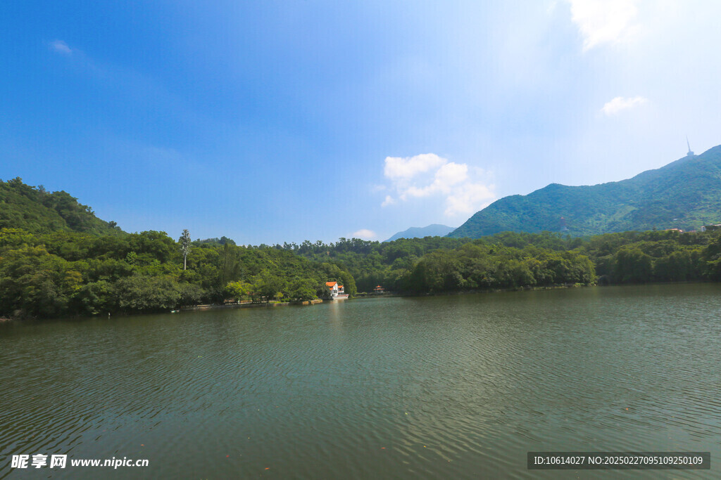 仙湖 植物园