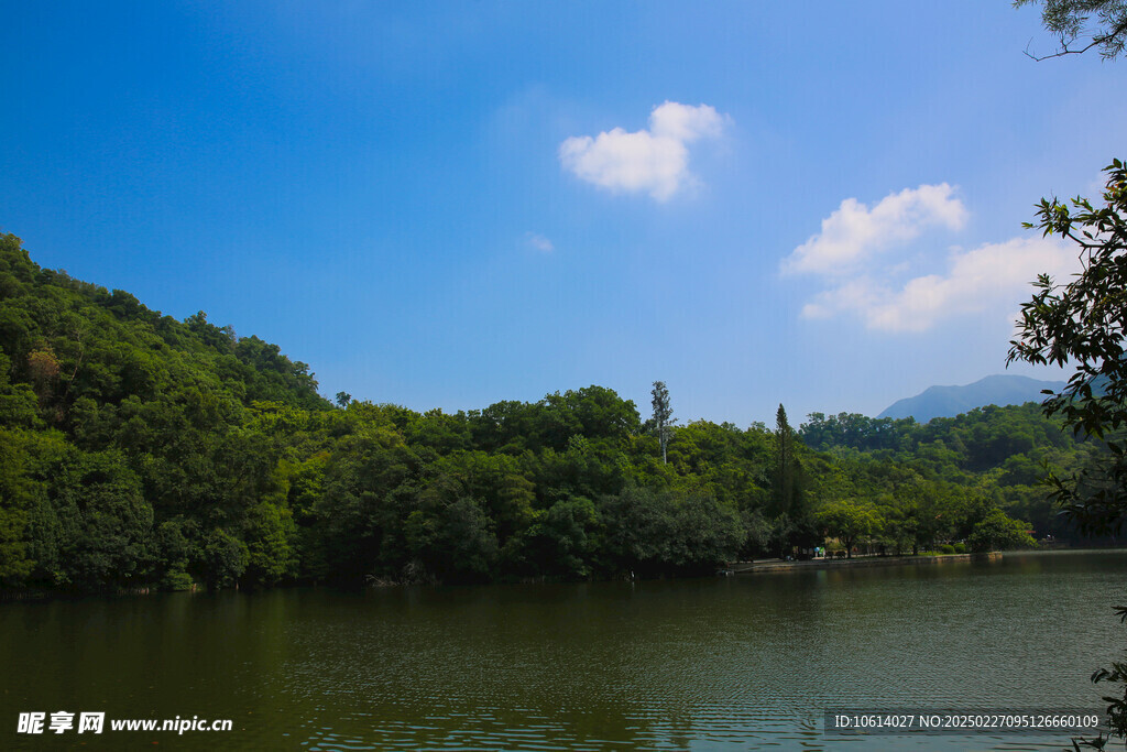 仙湖 植物园