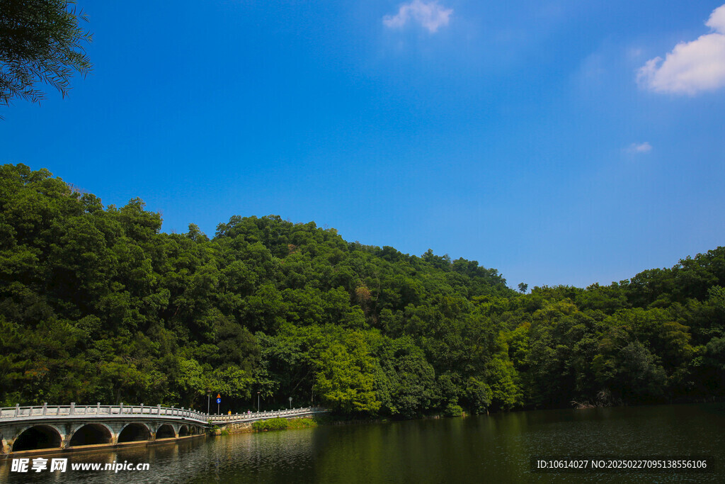 仙湖 植物园